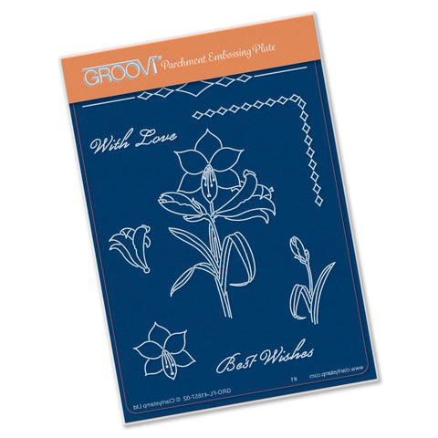 Amaryllis A6 Groovi Plate