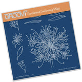 Jayne's Agapanthus <br/>A5 Square Groovi Plate