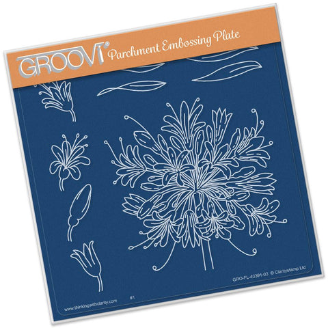 Jayne's Agapanthus <br/>A5 Square Groovi Plate
