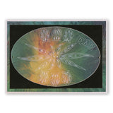 Funky Seed Heads & Leaves <br/>A6 Groovi Plate