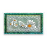 Linda's 123 Flowers - ABC <br/>Daisy, Sweet Pea & Hydrangea <br/>A4 Square Groovi Plate Set