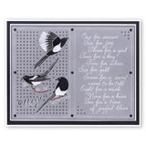 Magpies <br/>A6 Square Groovi Baby Plate Set