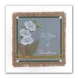 Calendar, Relatives & Occasions <br/>Groovi Border Plate Set