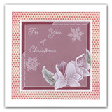 Calendar, Relatives & Occasions <br/>Groovi Border Plate Set