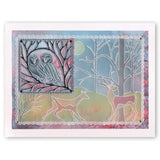 Woodland Owls & Squirrel <br/>A5 Square Groovi Plate Set