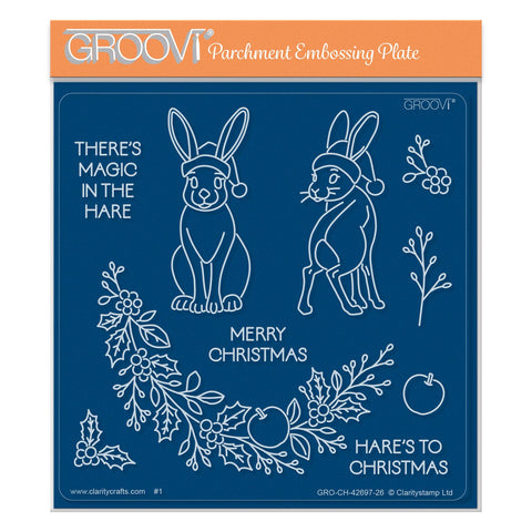Barbara's Christmas Animals - Hare Midi Groovi Plate