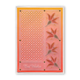 Floral Squares - Fuchsia <br/>Groovi Border Plate <br/>(Set GRO-FL-40421-09)