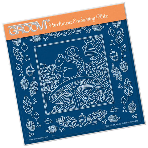 Woodland Squirrel & Frame <br/>A5 Square Groovi Plate