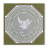 Wrens <br/>A6 Square Groovi Baby Plate Set