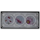 Linda's 123 Flowers - ABC <br/>Daisy, Sweet Pea & Hydrangea <br/>A5 Square Groovi Plate Set