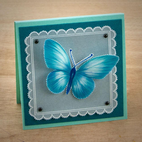 Tina's Butterfly Fun <br/>A5 Square Groovi Plate <br/>(Set GRO-AN-41015-03)